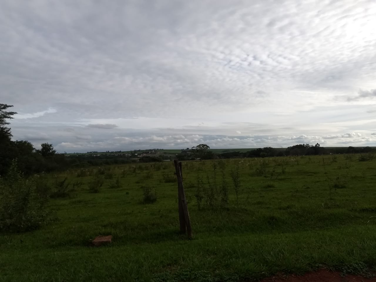 Imagem do WhatsApp de 2024-02-08 à(s) 10.13.18_8e26fafc.jpg