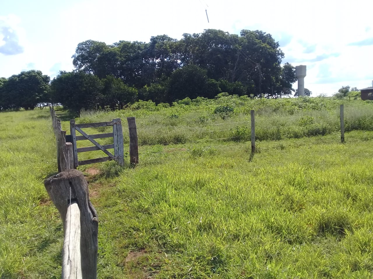 WhatsApp Image 2020-02-03 at 18.32.59.jpeg