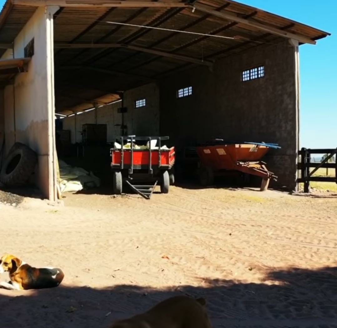 Imagem do WhatsApp de 2024-02-08 à(s) 15.27.41_3bebce3a.jpg