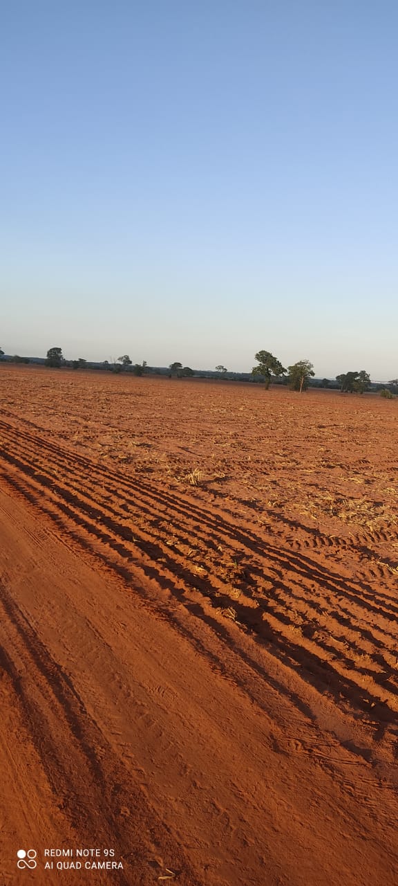 Imagem do WhatsApp de 2024-02-29 à(s) 09.35.36_22dc125b.jpg