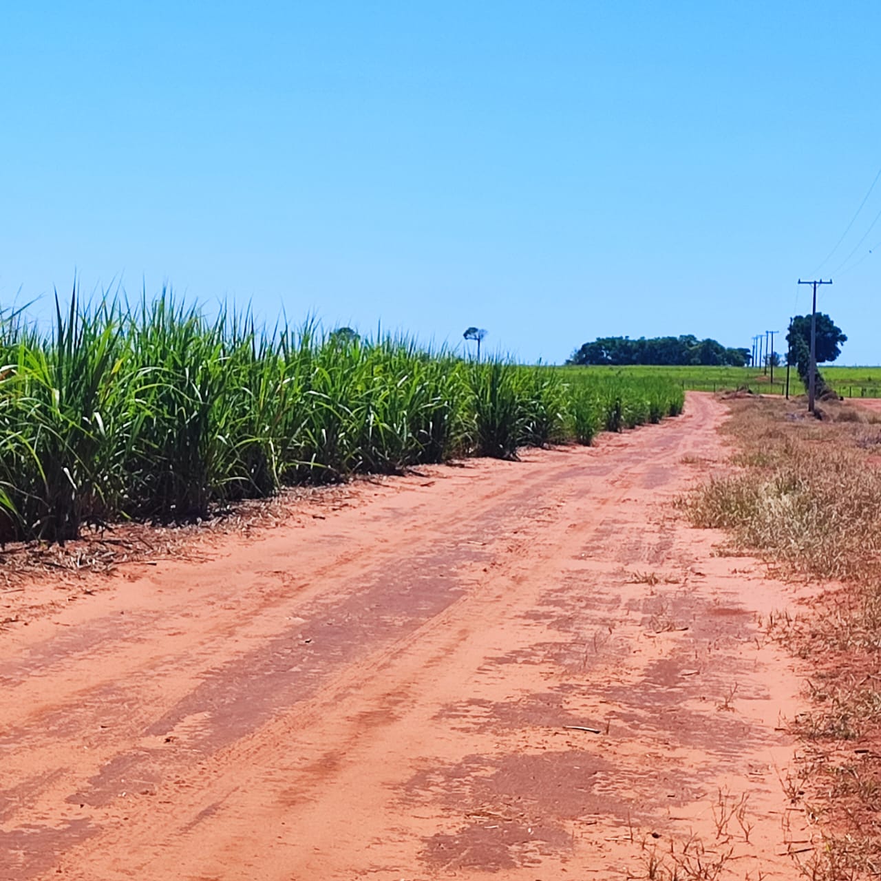 Imagem do WhatsApp de 2024-01-03 à(s) 16.11.26_31d455ce.jpg