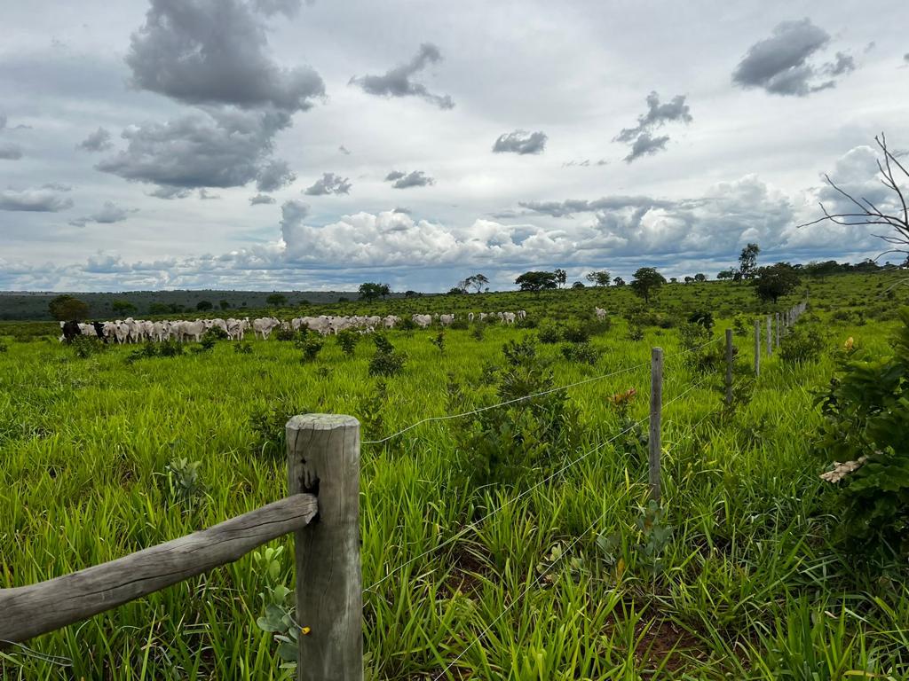 Imagem do WhatsApp de 2024-02-08 à(s) 10.03.25_6a12e913.jpg