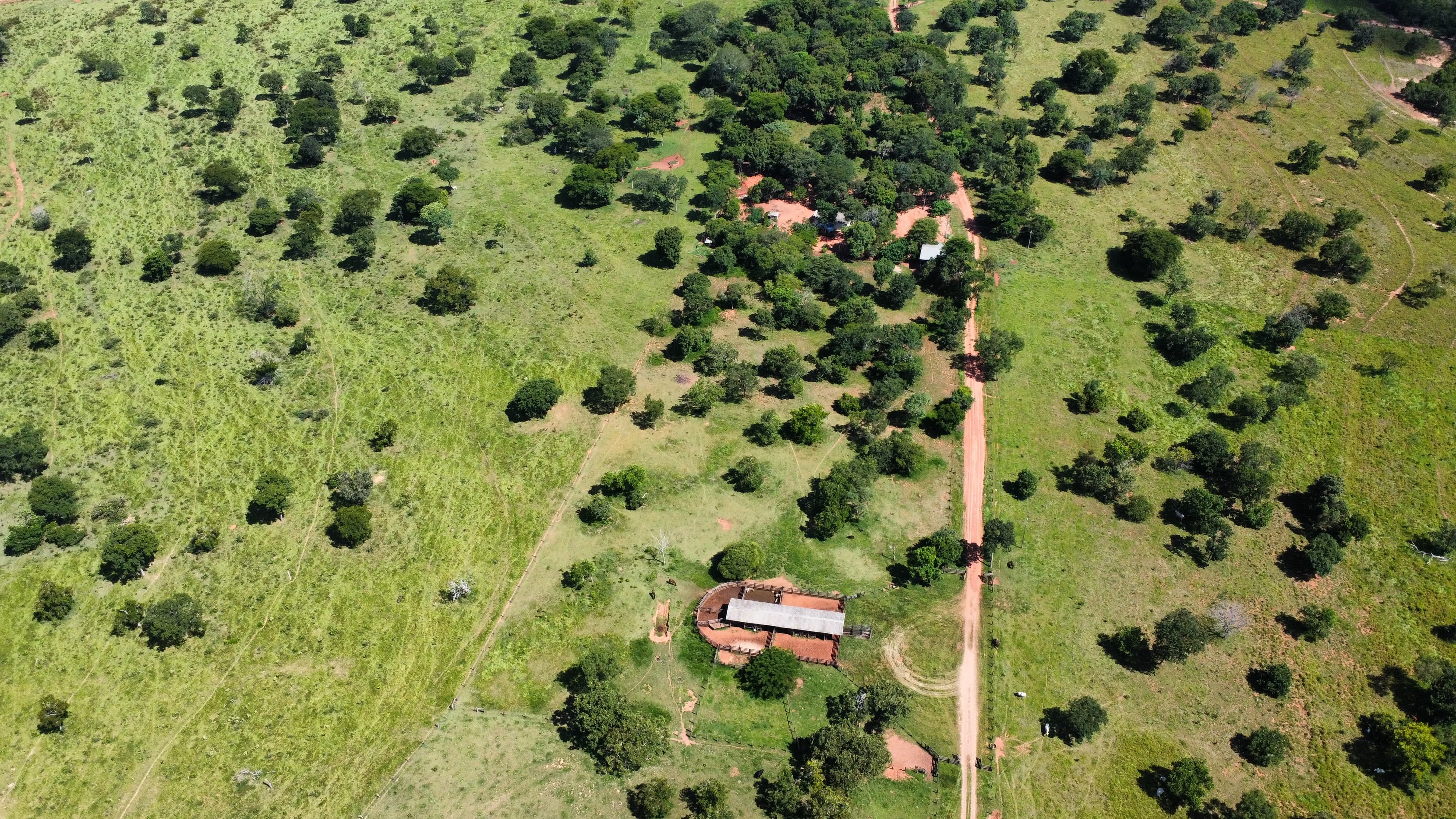 Imagem do WhatsApp de 2024-03-07 à(s) 16.05.45_aa9be505.jpg