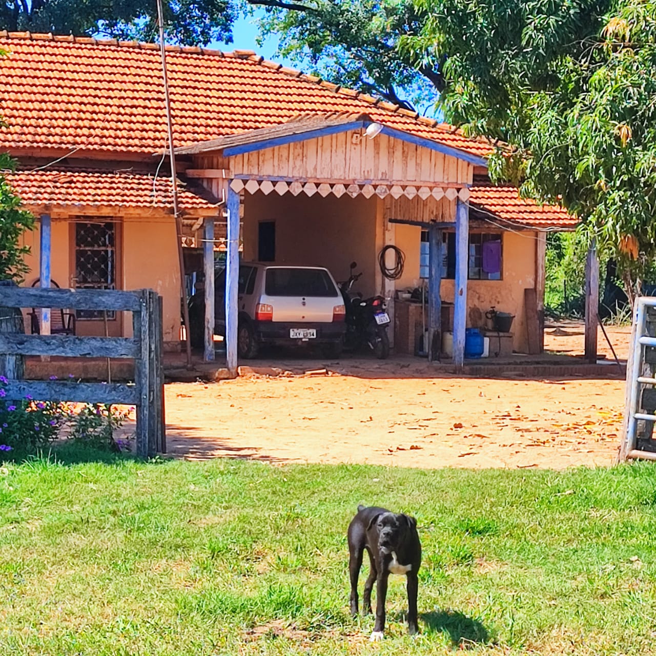 Imagem do WhatsApp de 2024-01-03 à(s) 16.11.29_acfdbc89.jpg