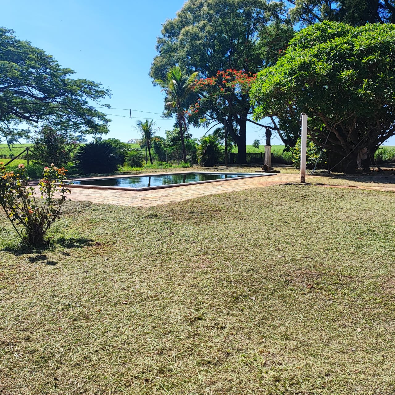 Imagem do WhatsApp de 2024-01-03 à(s) 16.11.36_c4edef31.jpg