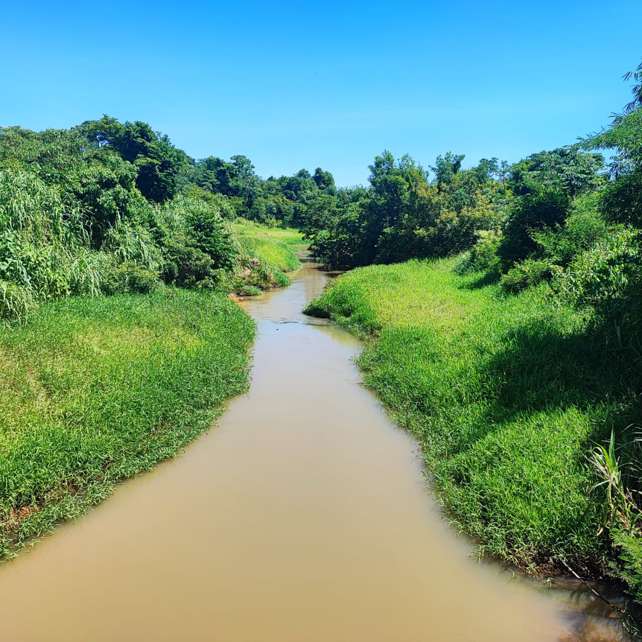 Imagem do WhatsApp de 2024-01-03 à(s) 16.11.23_4c5a2ac8.jpg