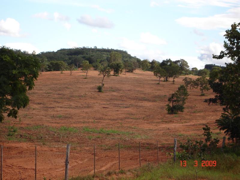 Imagem do WhatsApp de 2024-02-08 à(s) 10.04.21_8bafed49.jpg