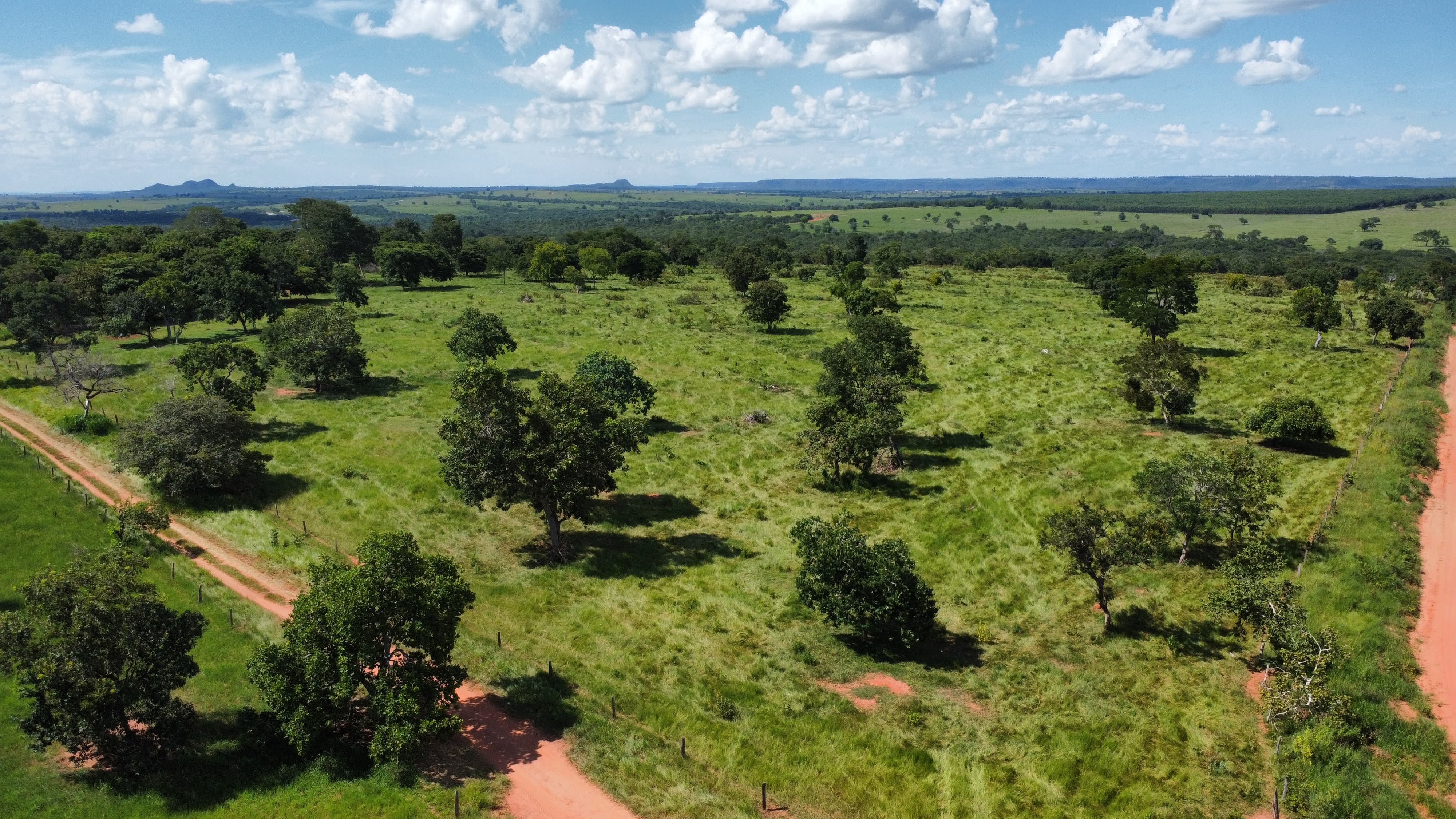 Imagem do WhatsApp de 2024-03-07 à(s) 16.05.45_244e5635.jpg