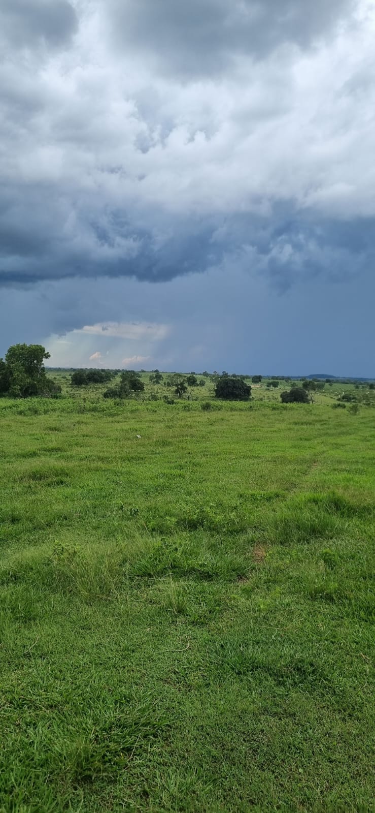 Imagem do WhatsApp de 2024-02-08 à(s) 10.02.44_3626dd48.jpg