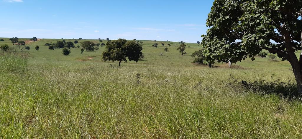 Imagem do WhatsApp de 2024-02-08 à(s) 10.03.52_543f51f7.jpg