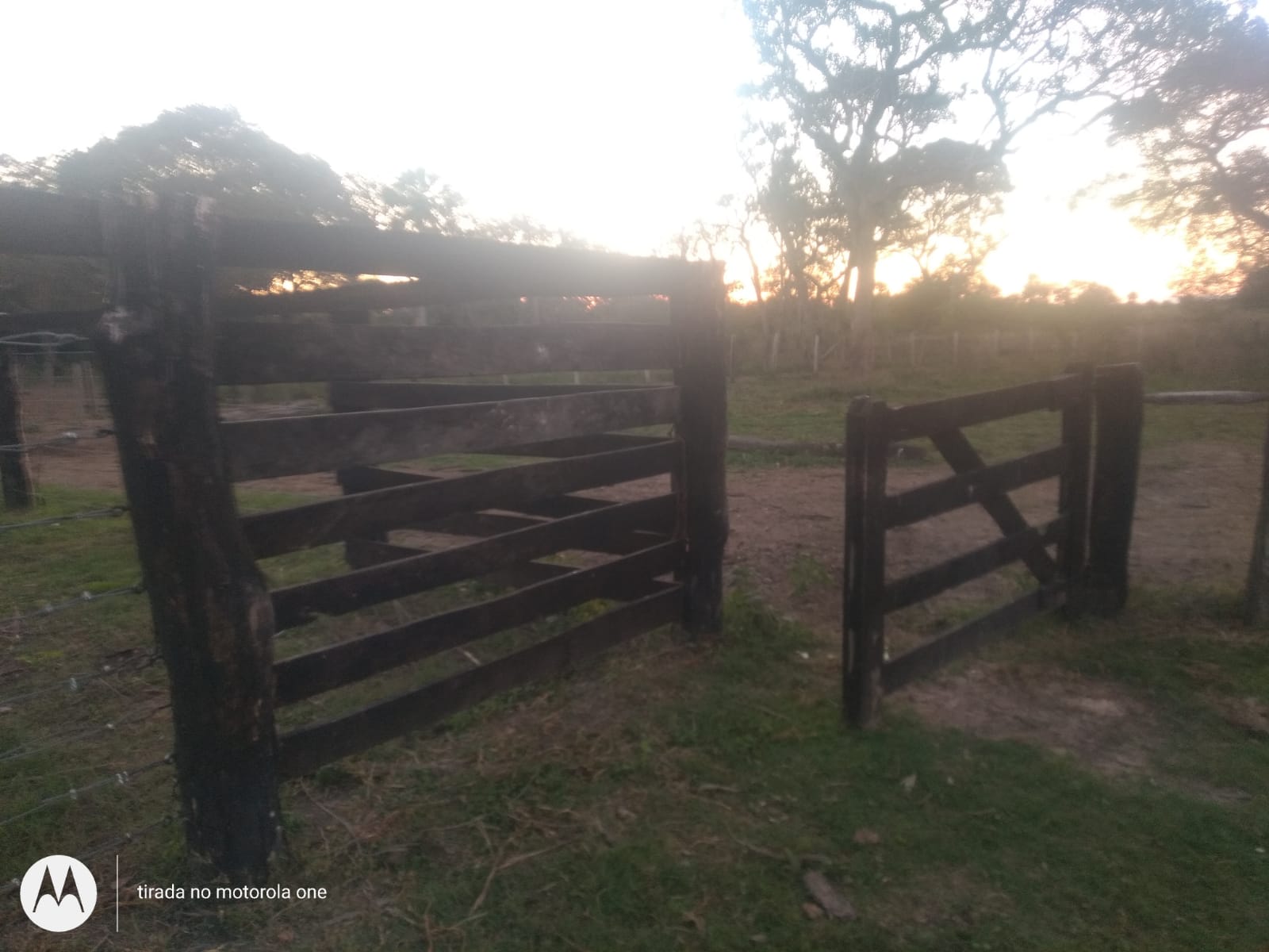 Imagem do WhatsApp de 2024-03-26 à(s) 10.11.29_b41f2e85.jpg