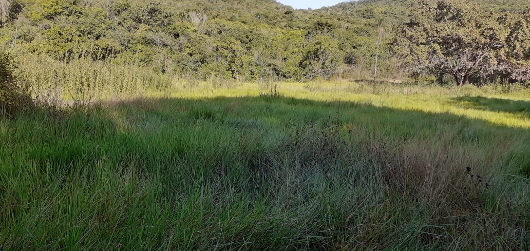 Imagem do WhatsApp de 2024-03-26 à(s) 14.36.07_15319496.jpg