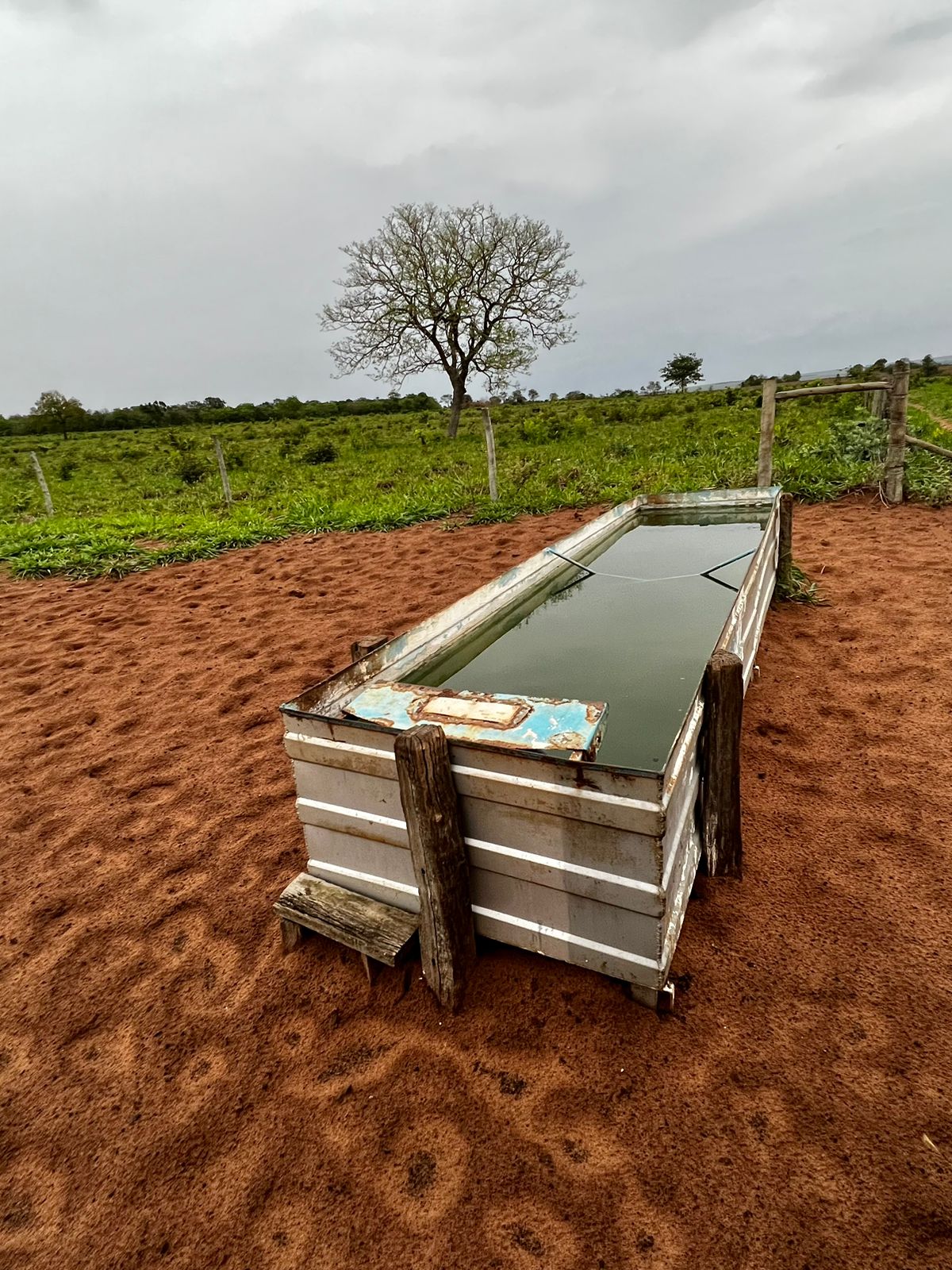 Imagem do WhatsApp de 2024-02-08 à(s) 10.03.24_467b1358.jpg