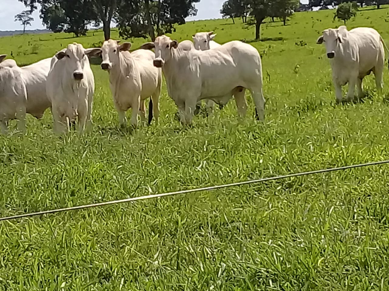 WhatsApp Image 2020-02-03 at 18.33.02 (2).jpeg