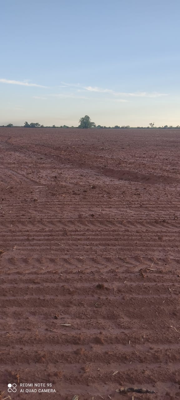 Imagem do WhatsApp de 2024-02-29 à(s) 09.35.34_bc8d20e1.jpg