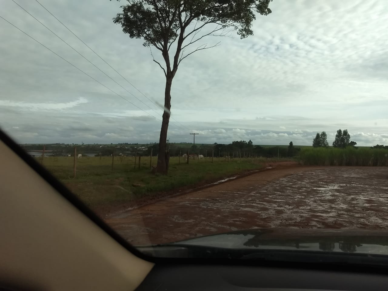 Imagem do WhatsApp de 2024-02-08 à(s) 10.13.17_ca49ab3b.jpg