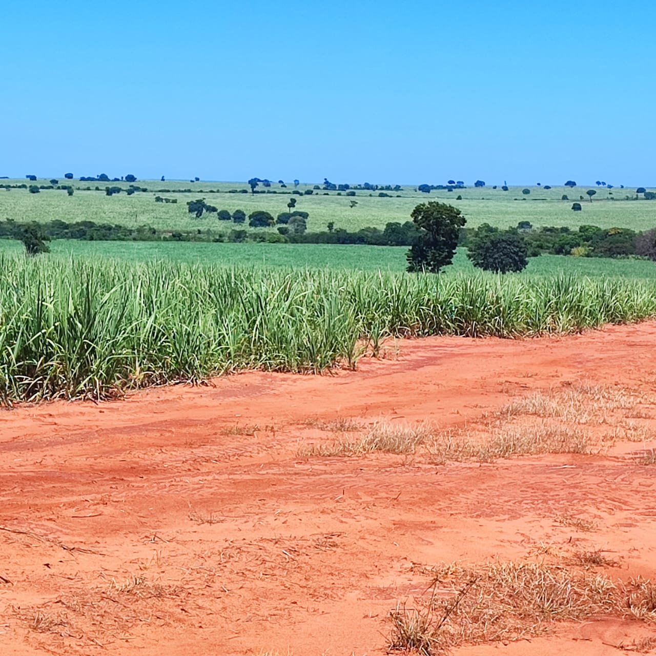 Imagem do WhatsApp de 2024-01-03 à(s) 16.11.26_d9c37dc3.jpg