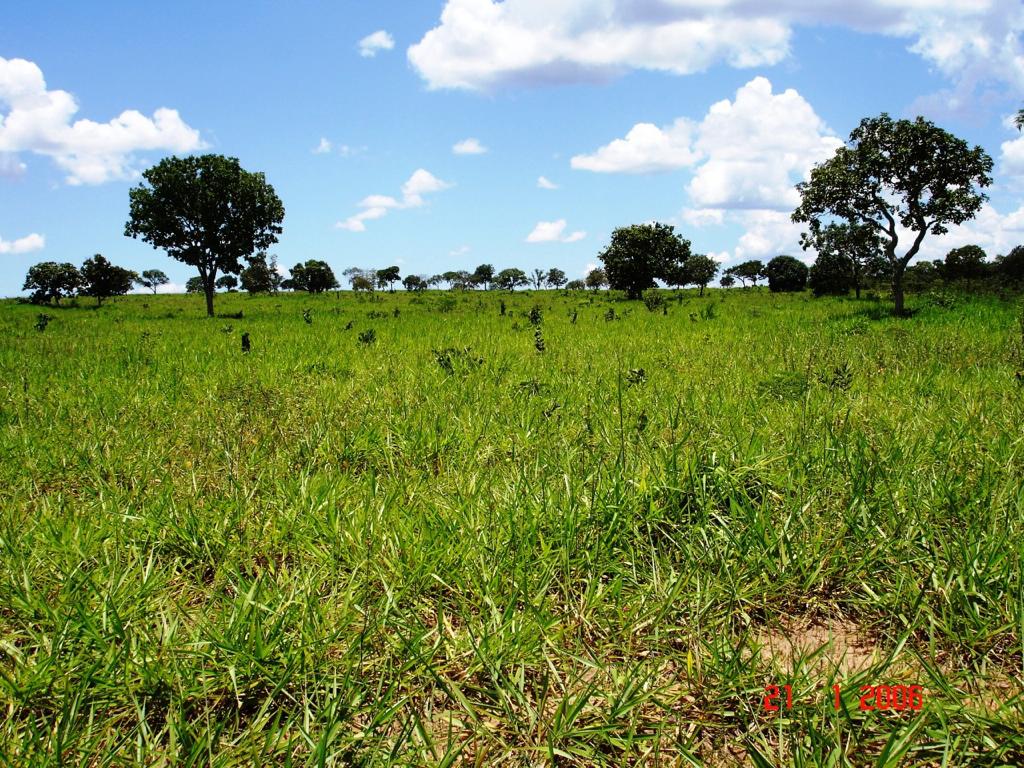 Imagem do WhatsApp de 2024-02-08 à(s) 10.04.21_3ba2de9f.jpg