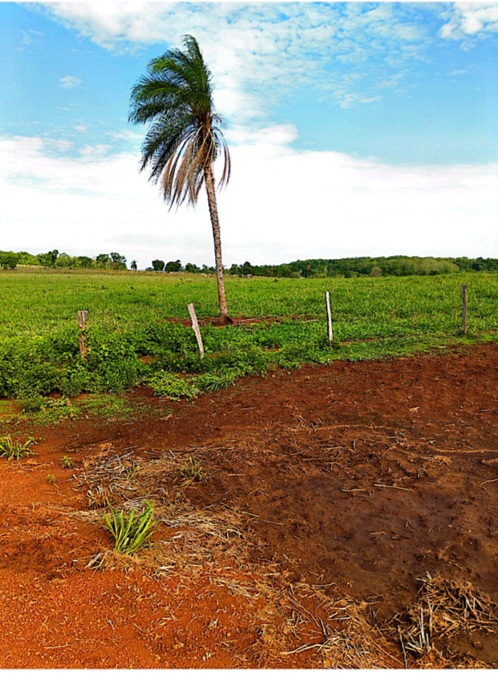 Imagem do WhatsApp de 2024-03-28 à(s) 16.06.32_fbe35623.jpg