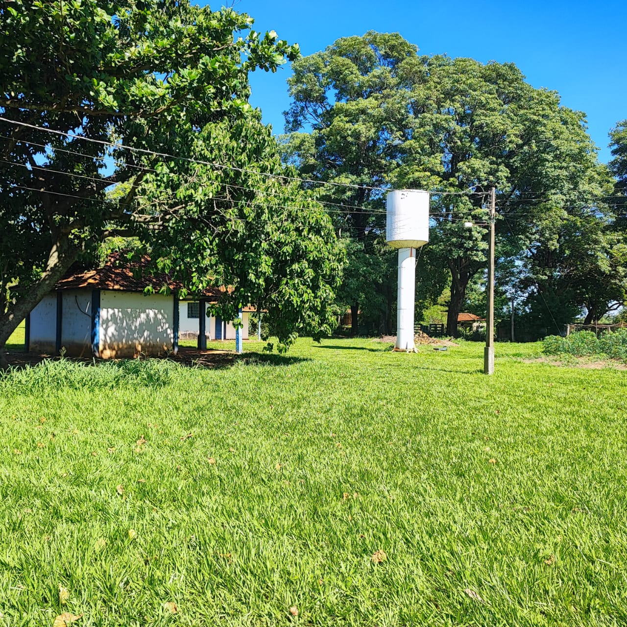 Imagem do WhatsApp de 2024-01-03 à(s) 16.11.35_909356e1.jpg