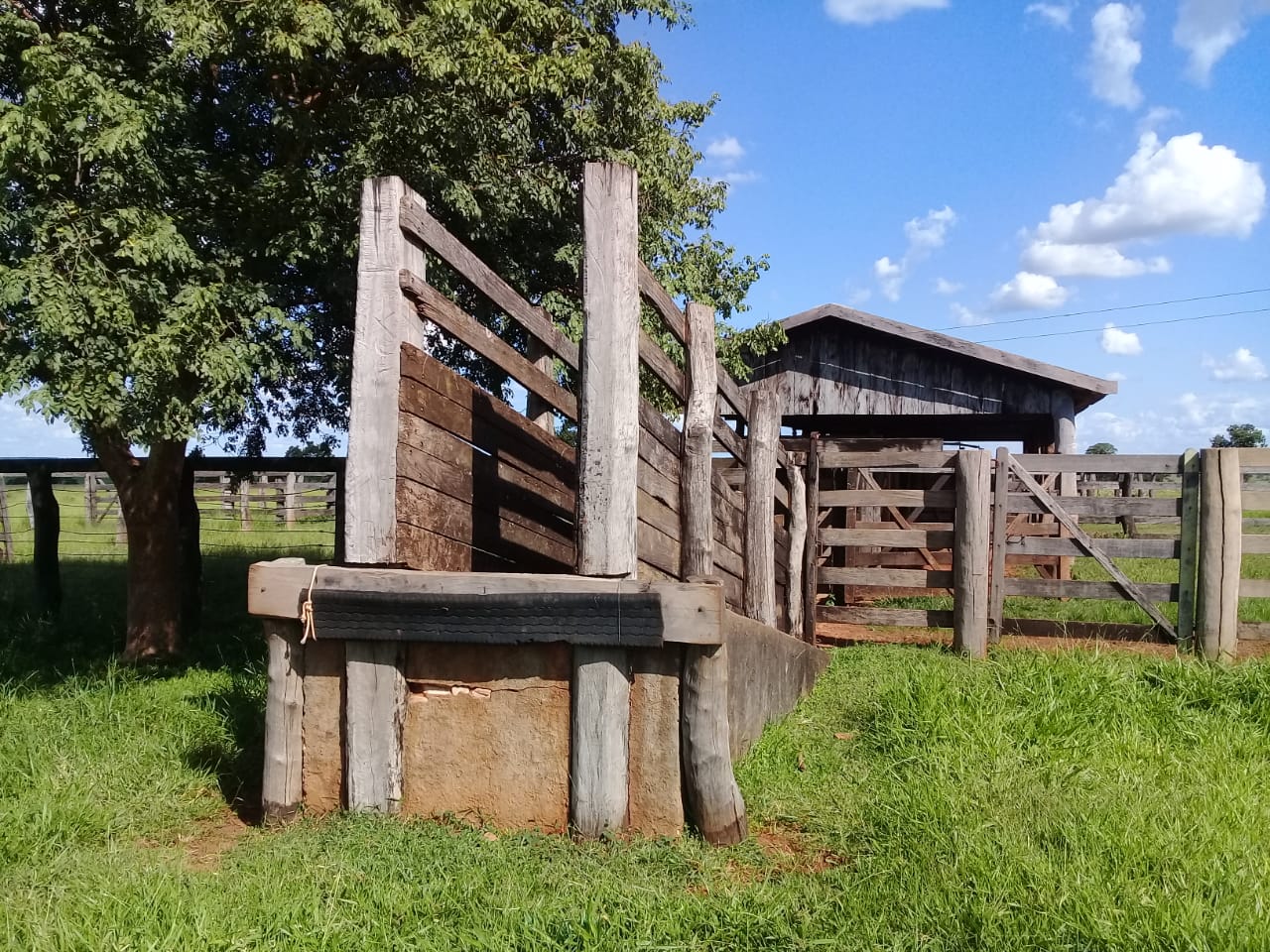 WhatsApp Image 2020-02-03 at 18.33.00 (2).jpeg