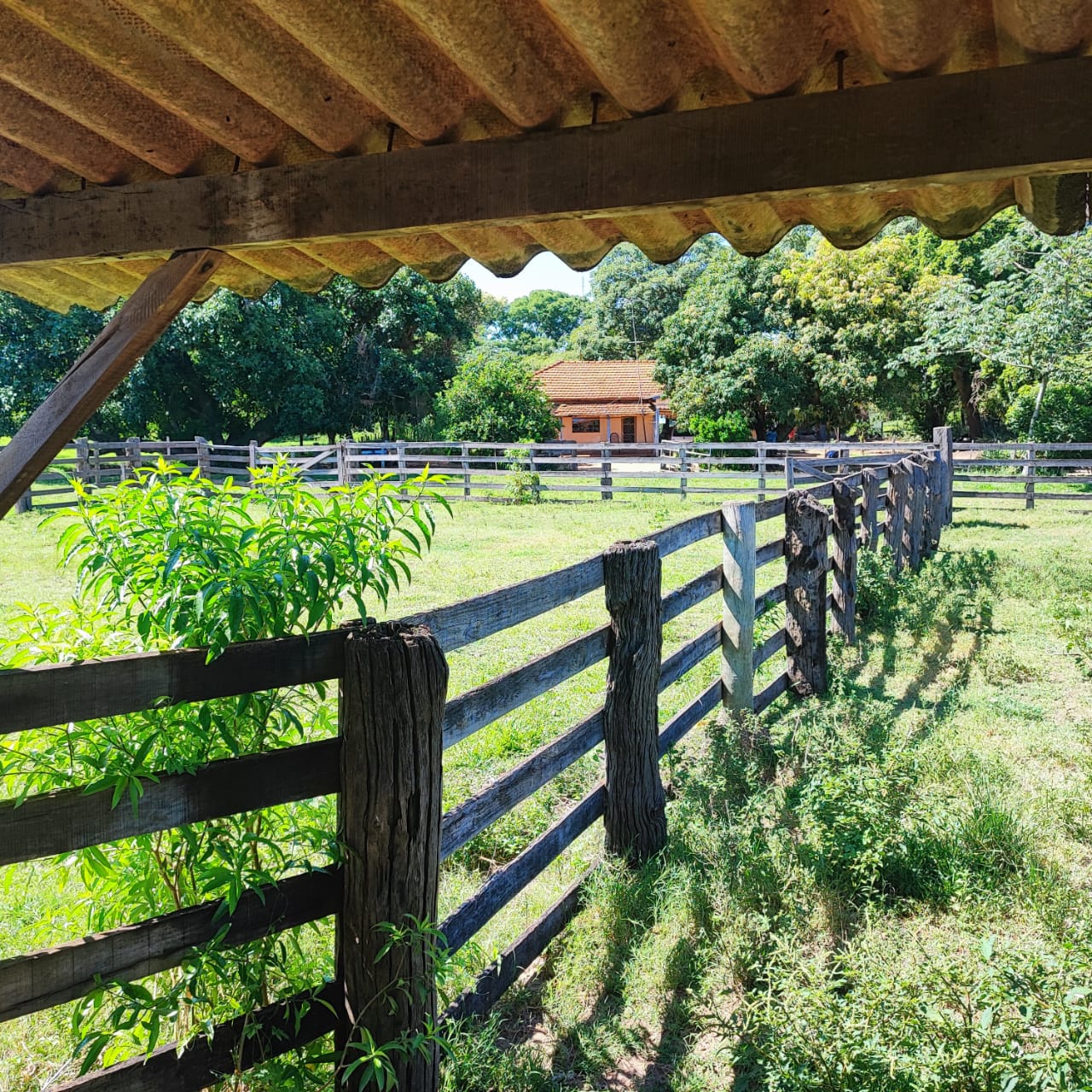 Imagem do WhatsApp de 2024-01-03 à(s) 16.11.30_822f6b4c.jpg