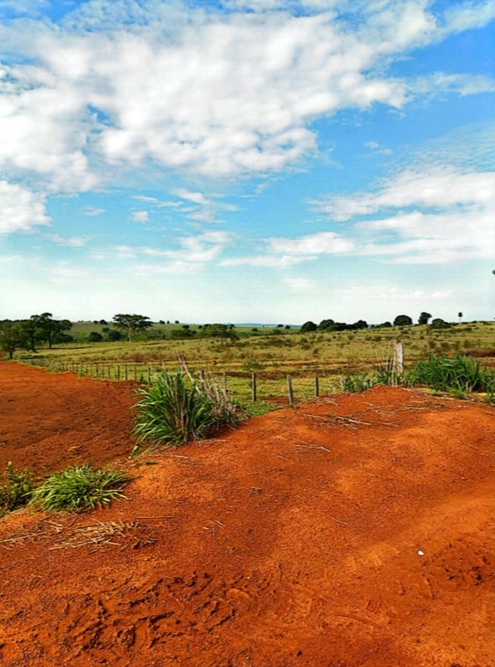 Imagem do WhatsApp de 2024-03-28 à(s) 16.06.33_cb5aef86.jpg