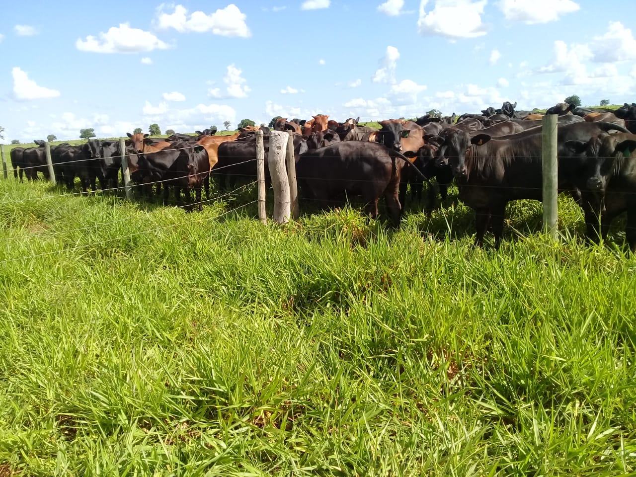 WhatsApp Image 2020-02-03 at 18.33.02 (1).jpeg