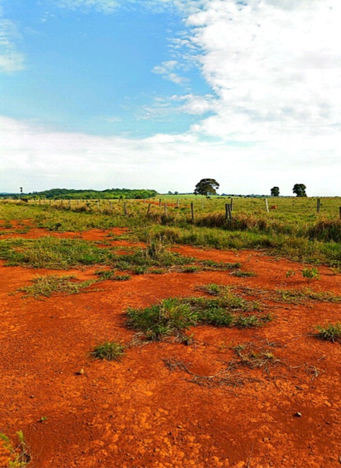 Imagem do WhatsApp de 2024-03-28 à(s) 16.06.32_628afe6a.jpg