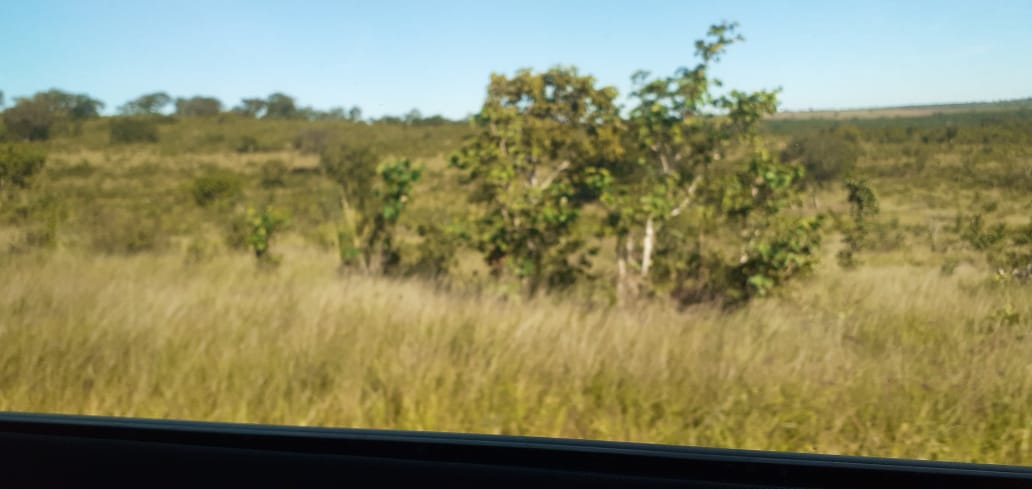 Imagem do WhatsApp de 2024-03-26 à(s) 14.36.07_3a952321.jpg