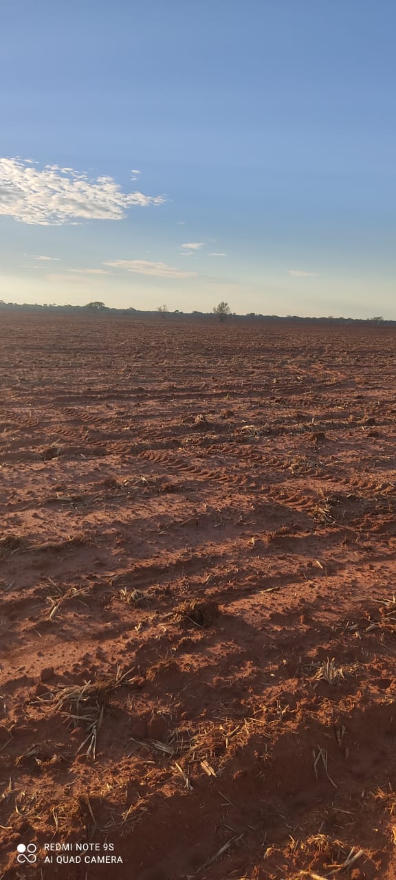 Imagem do WhatsApp de 2024-02-29 à(s) 09.35.36_649b505f.jpg