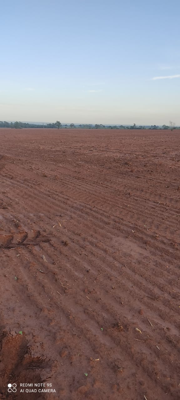 Imagem do WhatsApp de 2024-02-29 à(s) 09.35.35_100683da.jpg