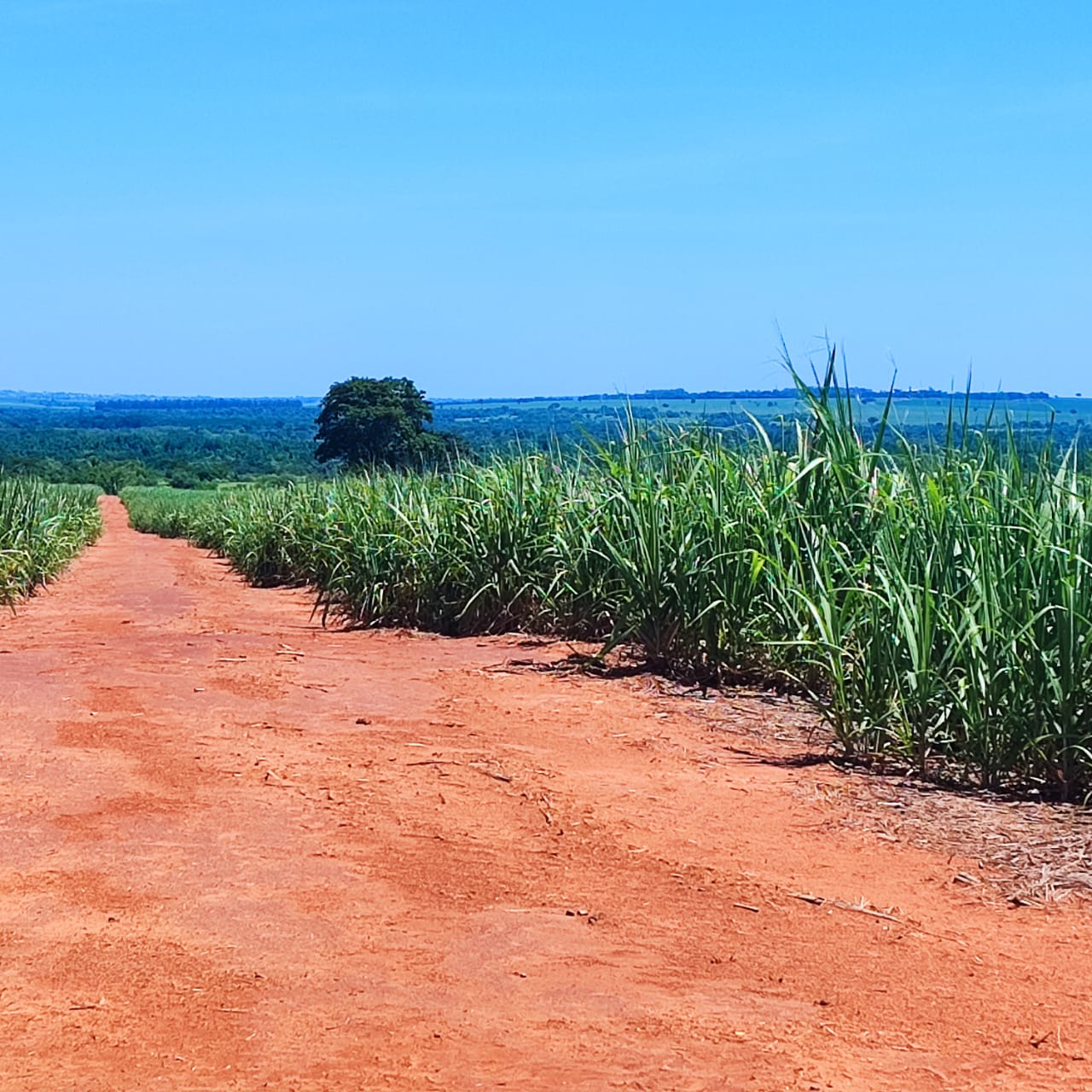 Imagem do WhatsApp de 2024-01-03 à(s) 16.11.24_a434ffa5.jpg