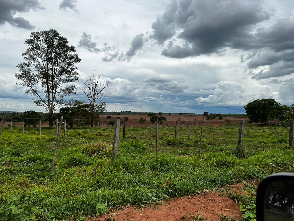 Imagem do WhatsApp de 2024-02-08 à(s) 10.03.24_f19deec4.jpg