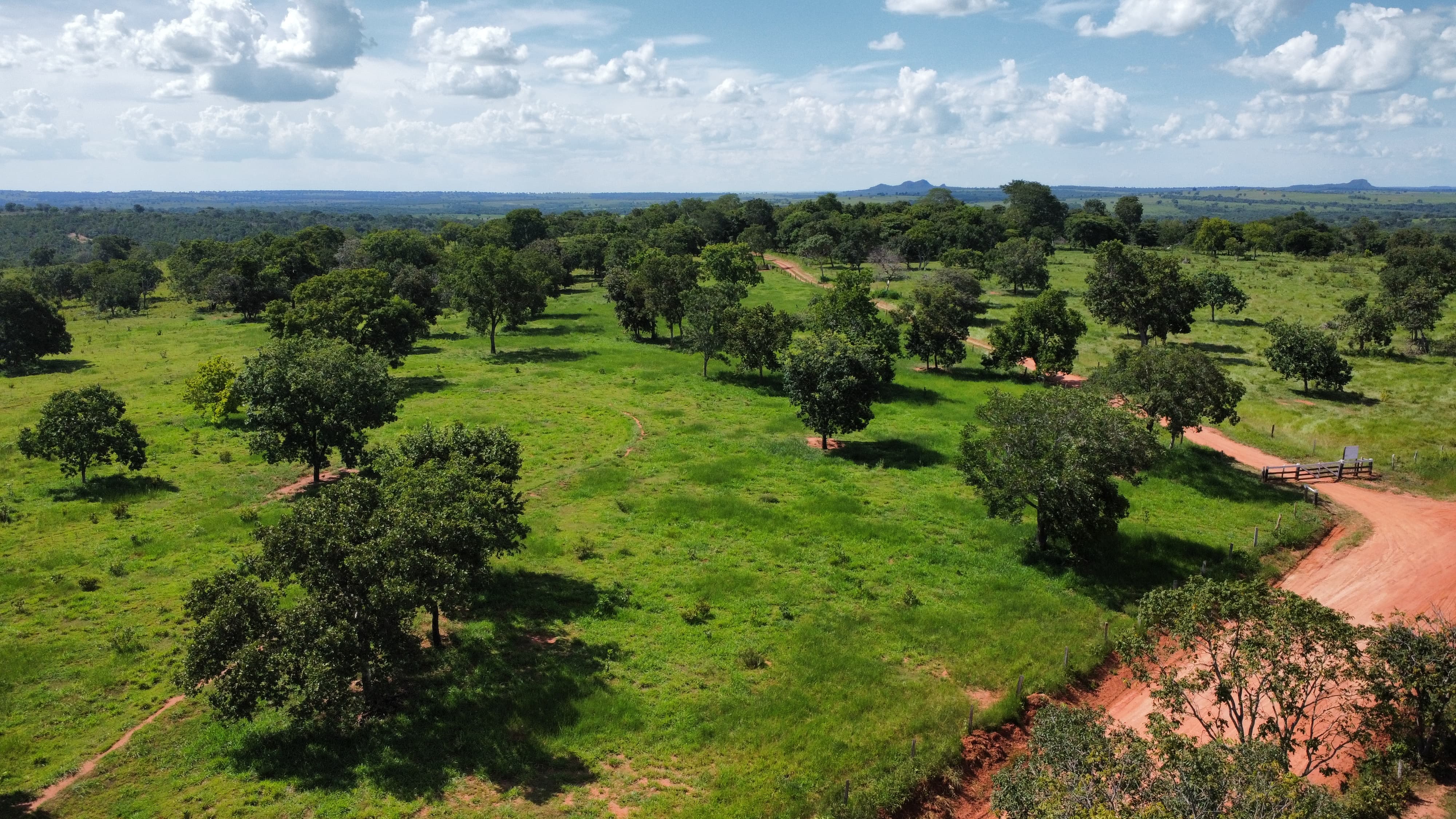 Imagem do WhatsApp de 2024-03-07 à(s) 16.05.45_0ac65f3a.jpg