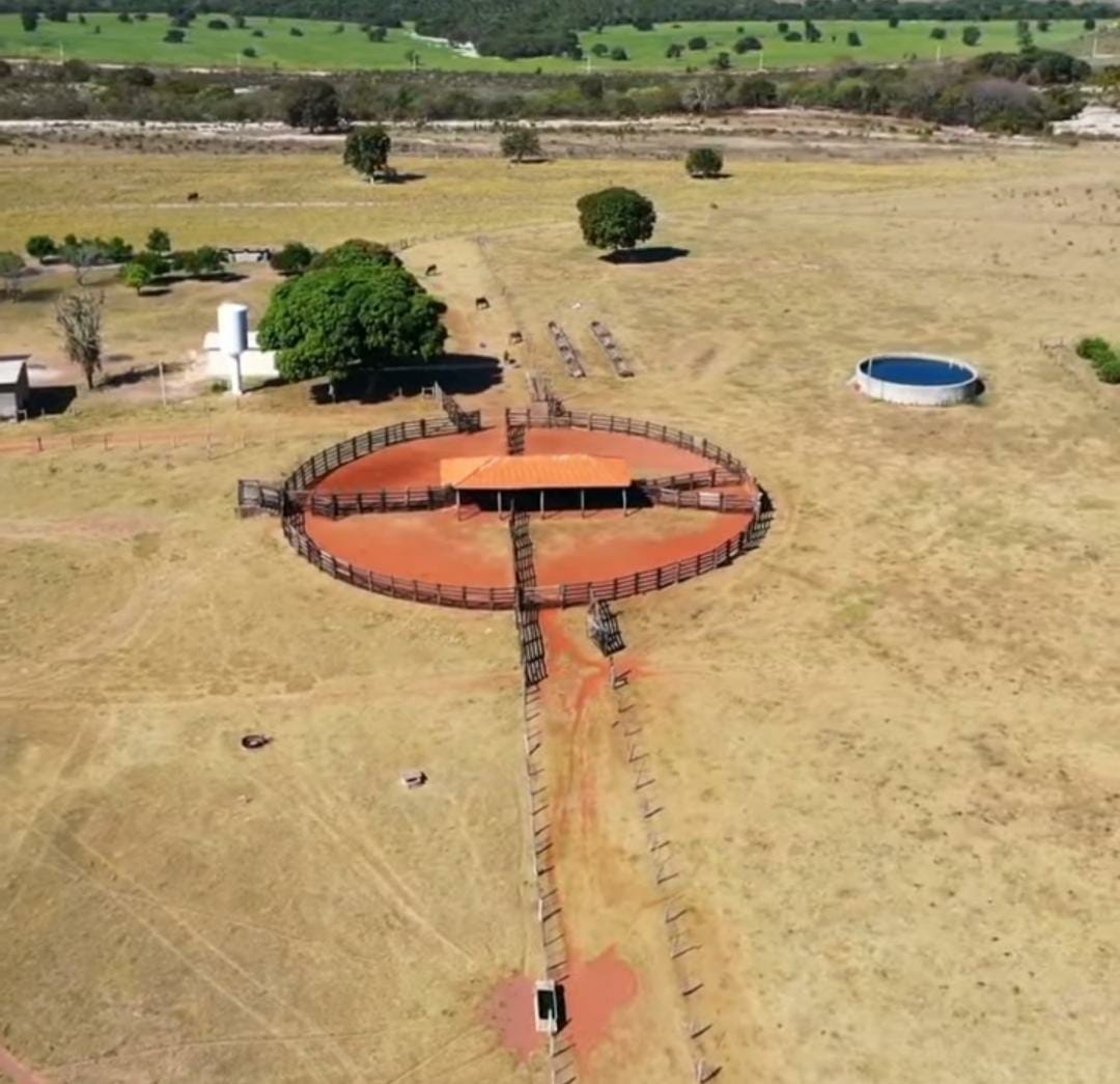 Imagem do WhatsApp de 2024-02-08 à(s) 15.27.40_6eae755b.jpg