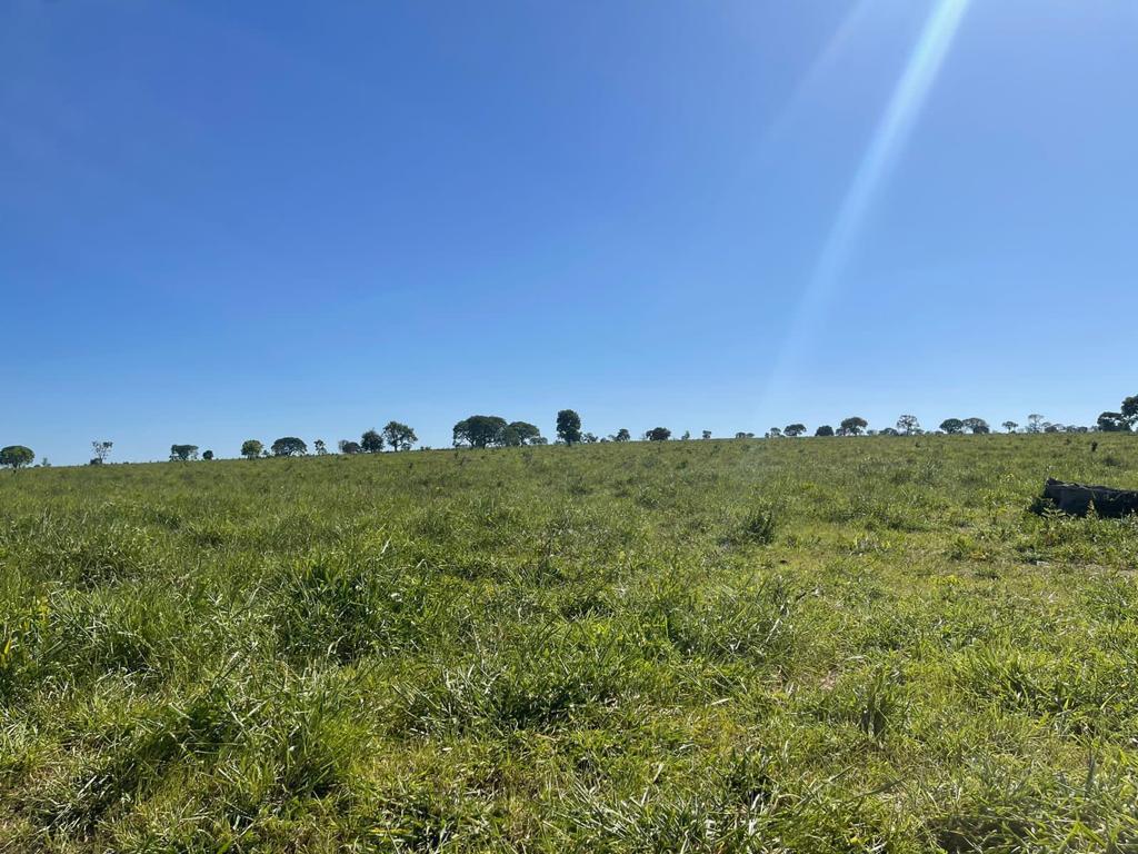 Imagem do WhatsApp de 2024-02-08 à(s) 10.03.51_4909a5fd.jpg